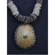 Baby Opihi Shell Golden Opihi Lei